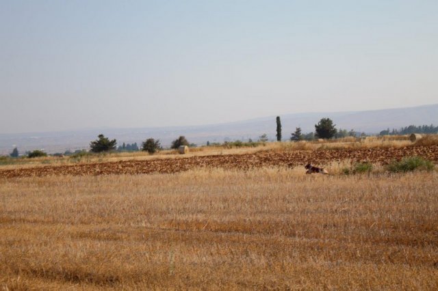 Αγωνες Α.Κ.Ι 18/6/2017